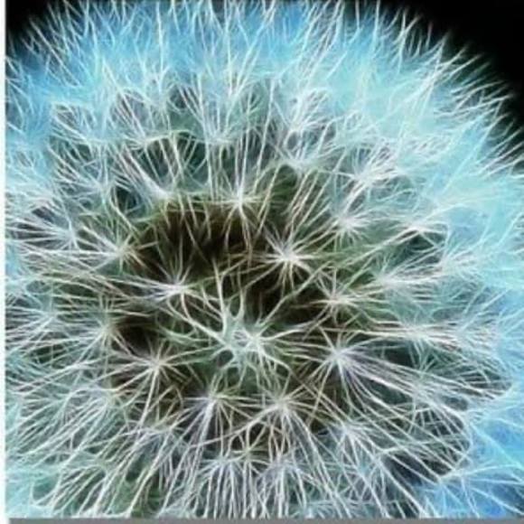 Meet your Posher, Rhonda - Picture 1 of 1